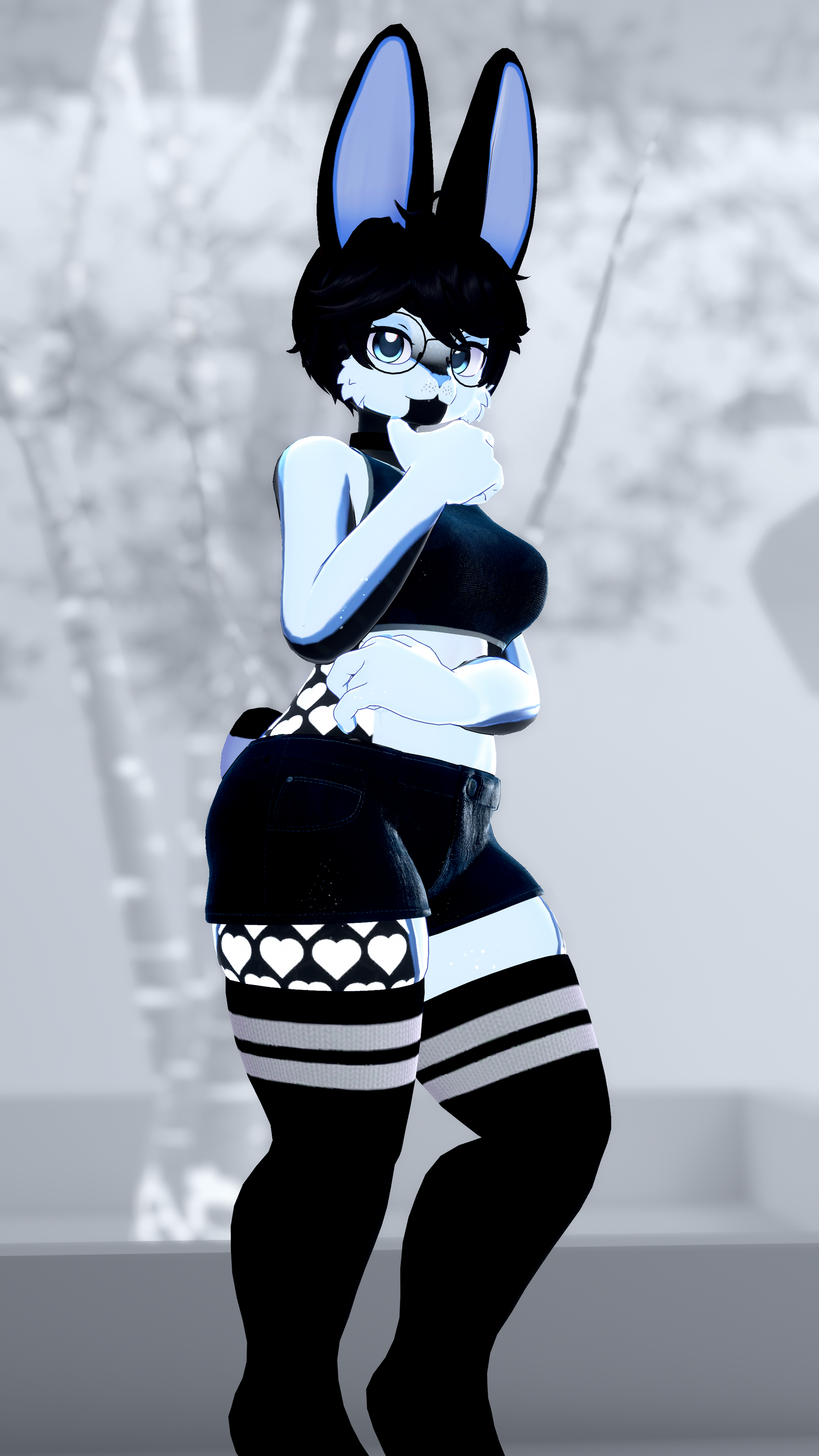 Black and White Bunny! (Biscotti/Biscotti X)