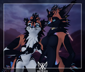Jex  Orange Blue - Rexouium/Magpie