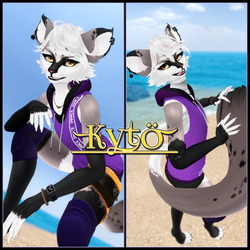 Kytö (Optimized + FT)