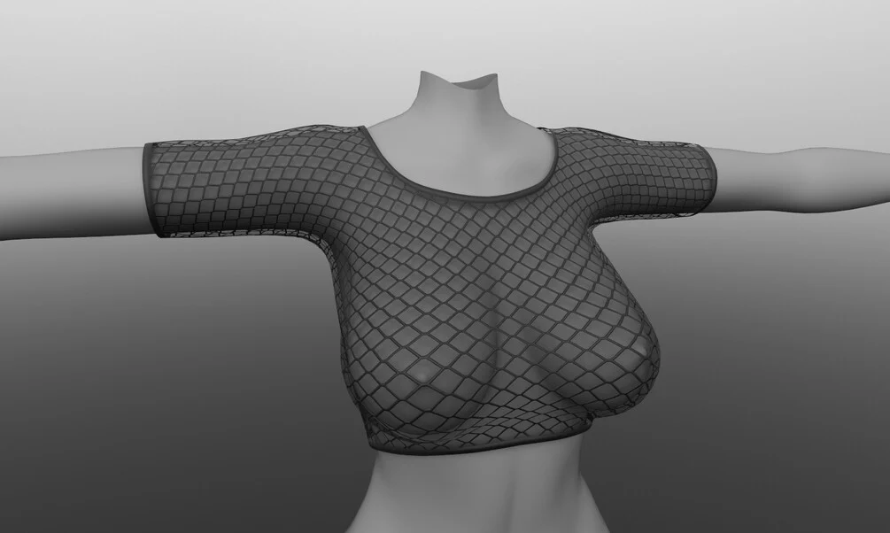 [Fishnet Top]