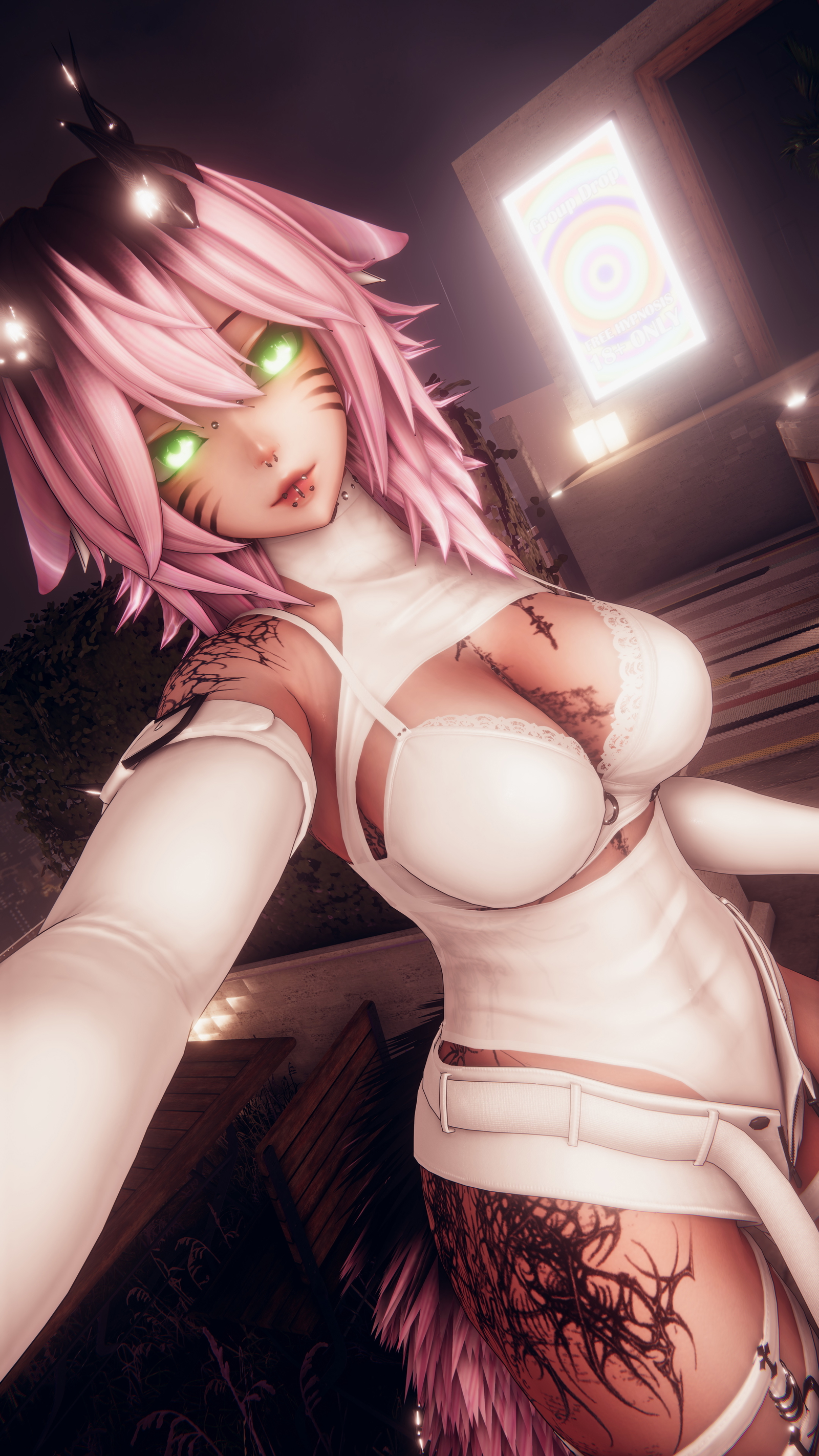 Stella PC, VRCFT, Gogo, Lighting sliders, SPS, AutoHotDog
