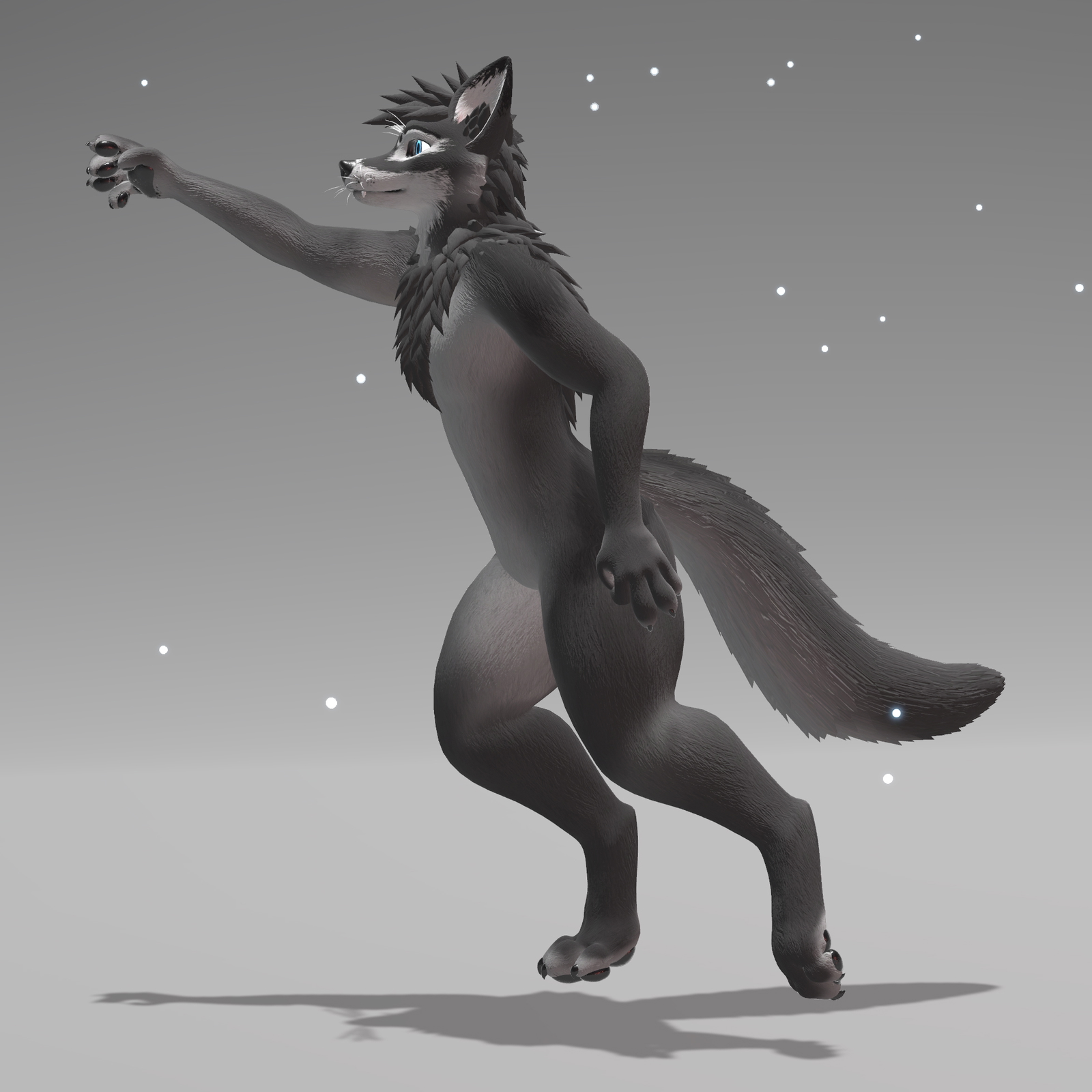 CanisWoof - Revamped