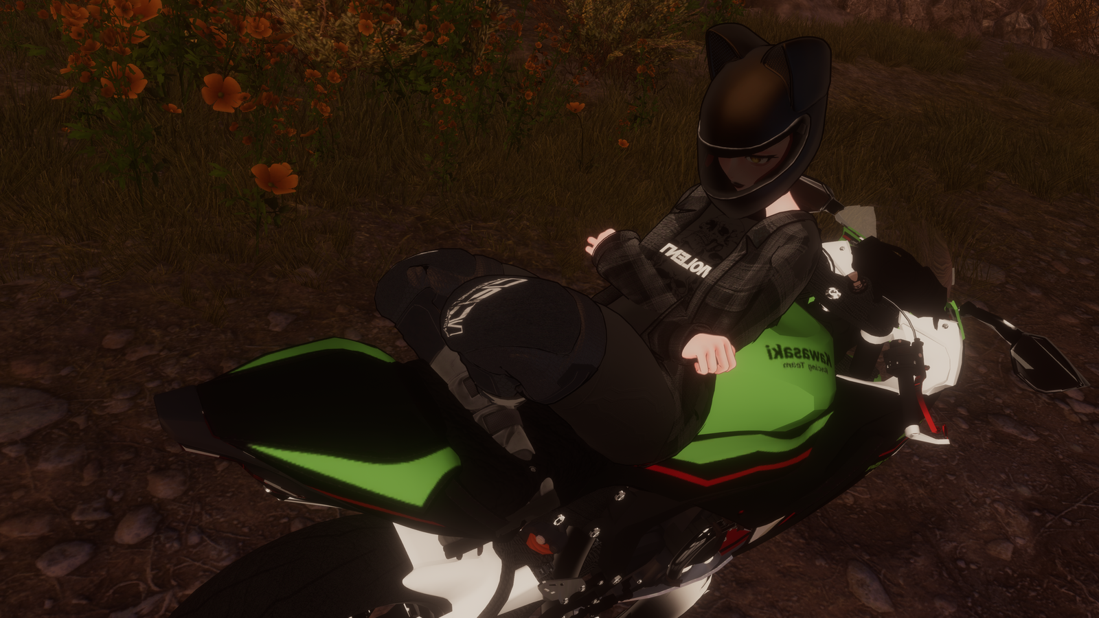kawaski Q+PC