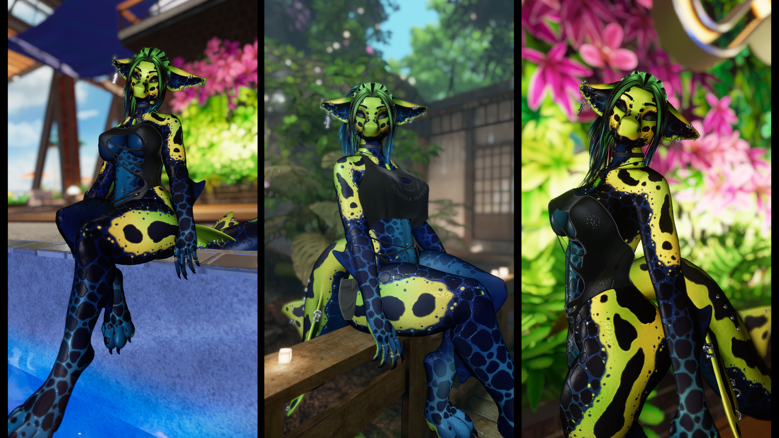 Dart Frog Calypso