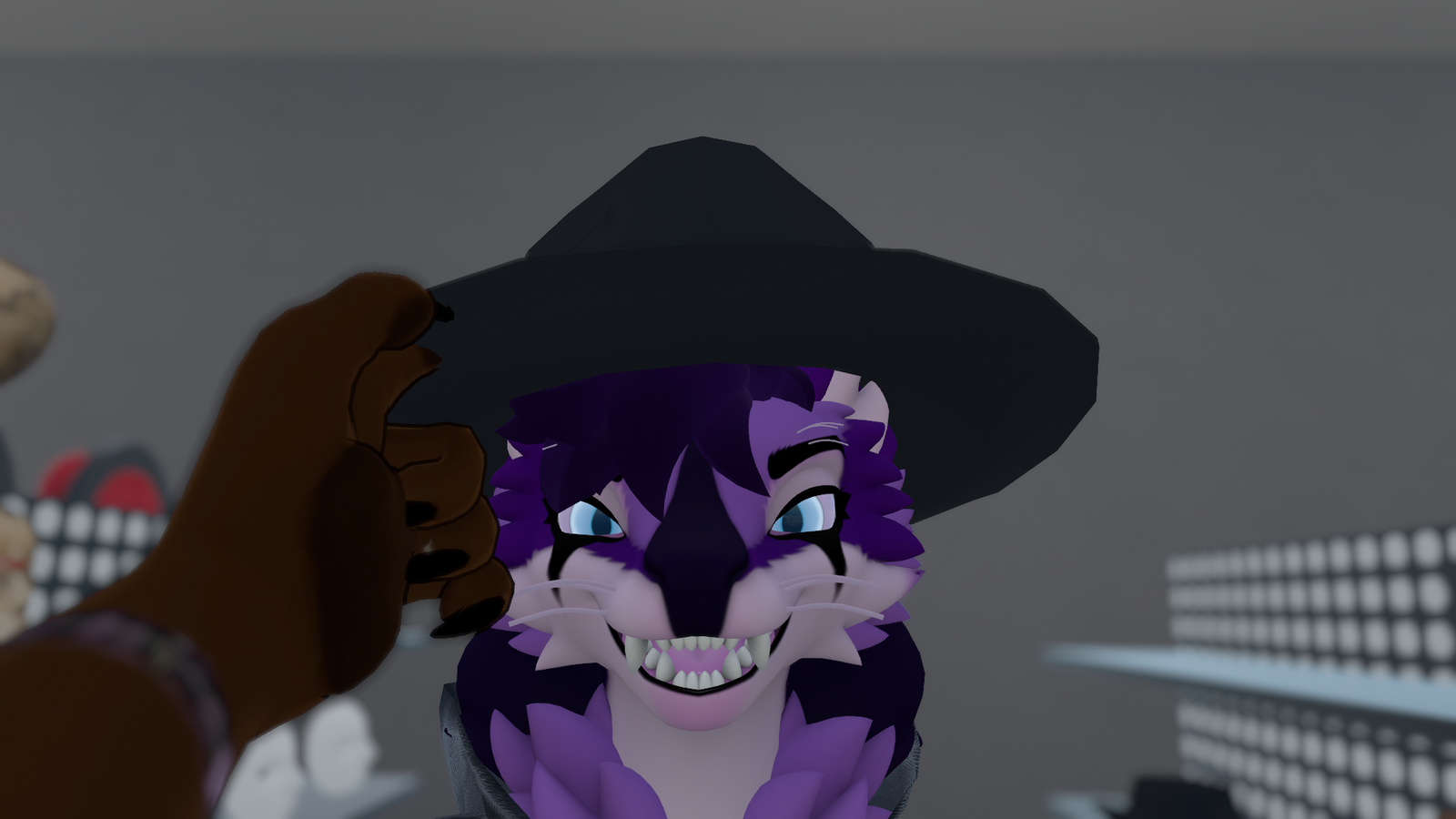 Whiskers for The Faelyn and Northern Aspil