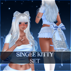˗ˏˋ ꒰ " Single Kitty Set" ꒱ ˎˊ˗