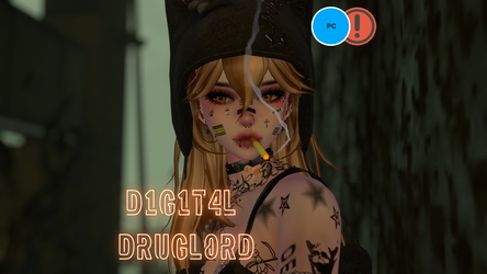 D1G1T4L DRUGL0RD PC/NSFW