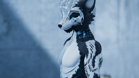 VIWI - PA1N
