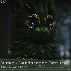 Vidar - Nardoragon Tetxure
