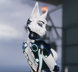 Cyber Kitty