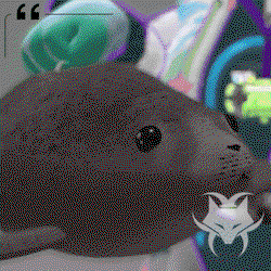 ⋆.˚ ☾ Seal Plushie ☽ ˚·⋆