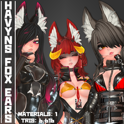 Havyn's Fox Ears