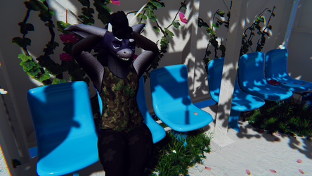 Sport outfit Swaggon