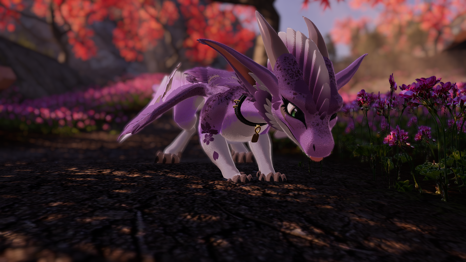 Dovabrodian Sakura Textures