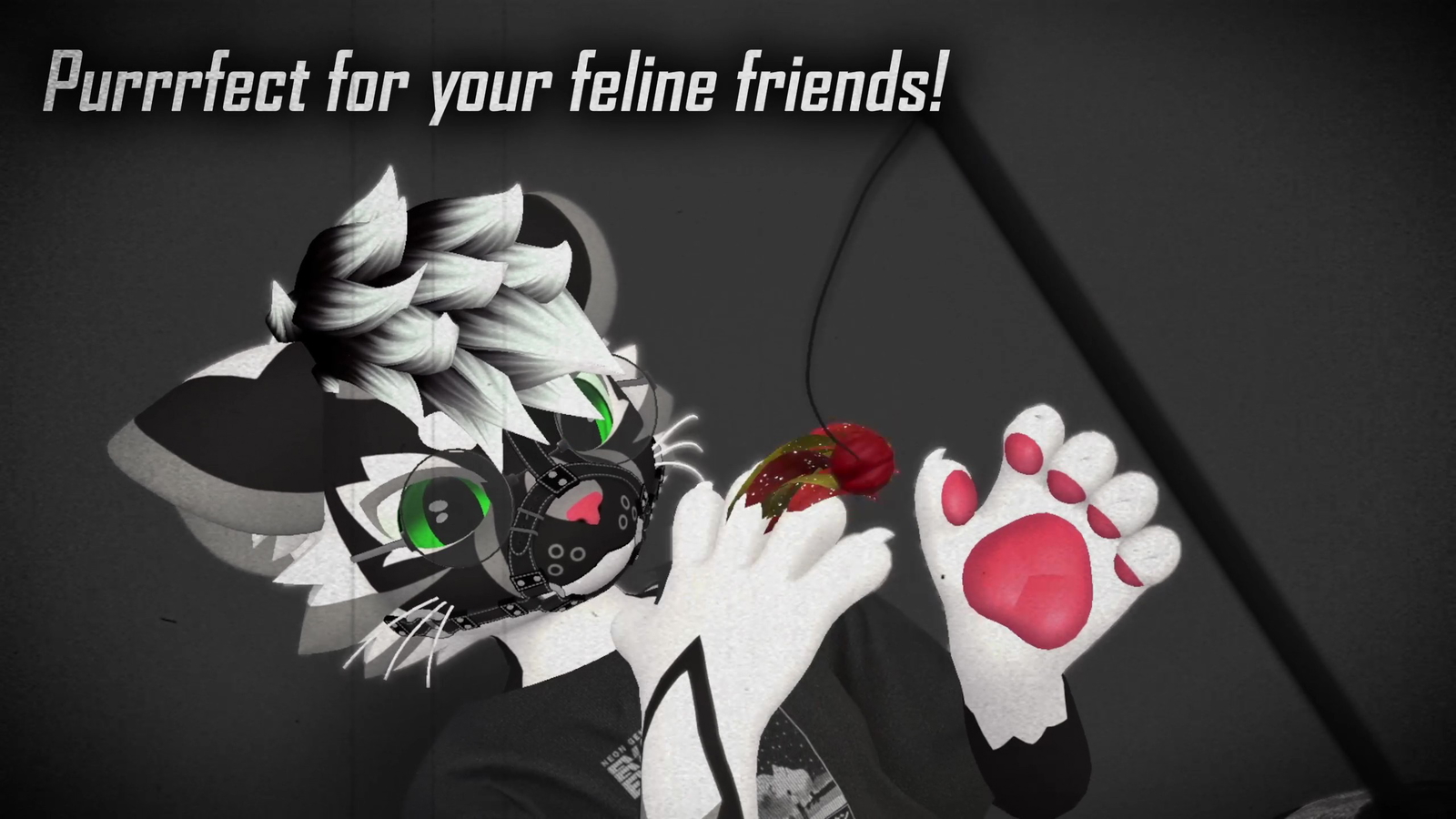 Interactive Cat Toys [JINXXY]