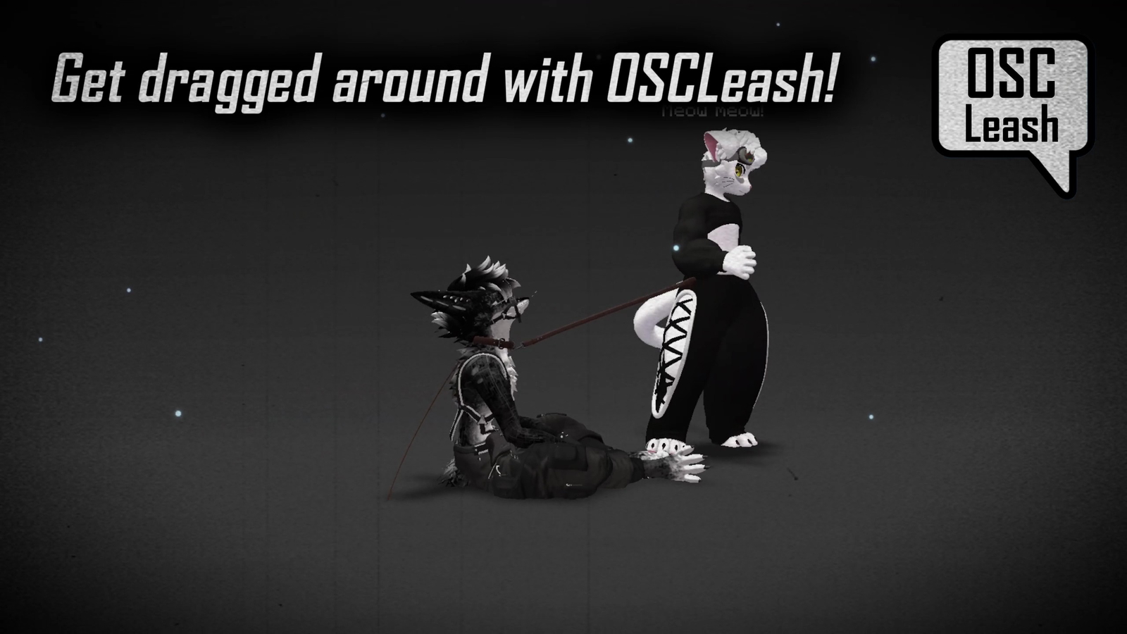 Universal Leash & Collar [JINXXY]