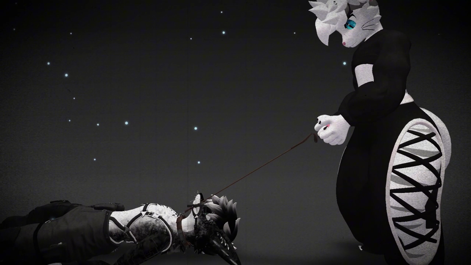 Universal Leash & Collar [JINXXY]
