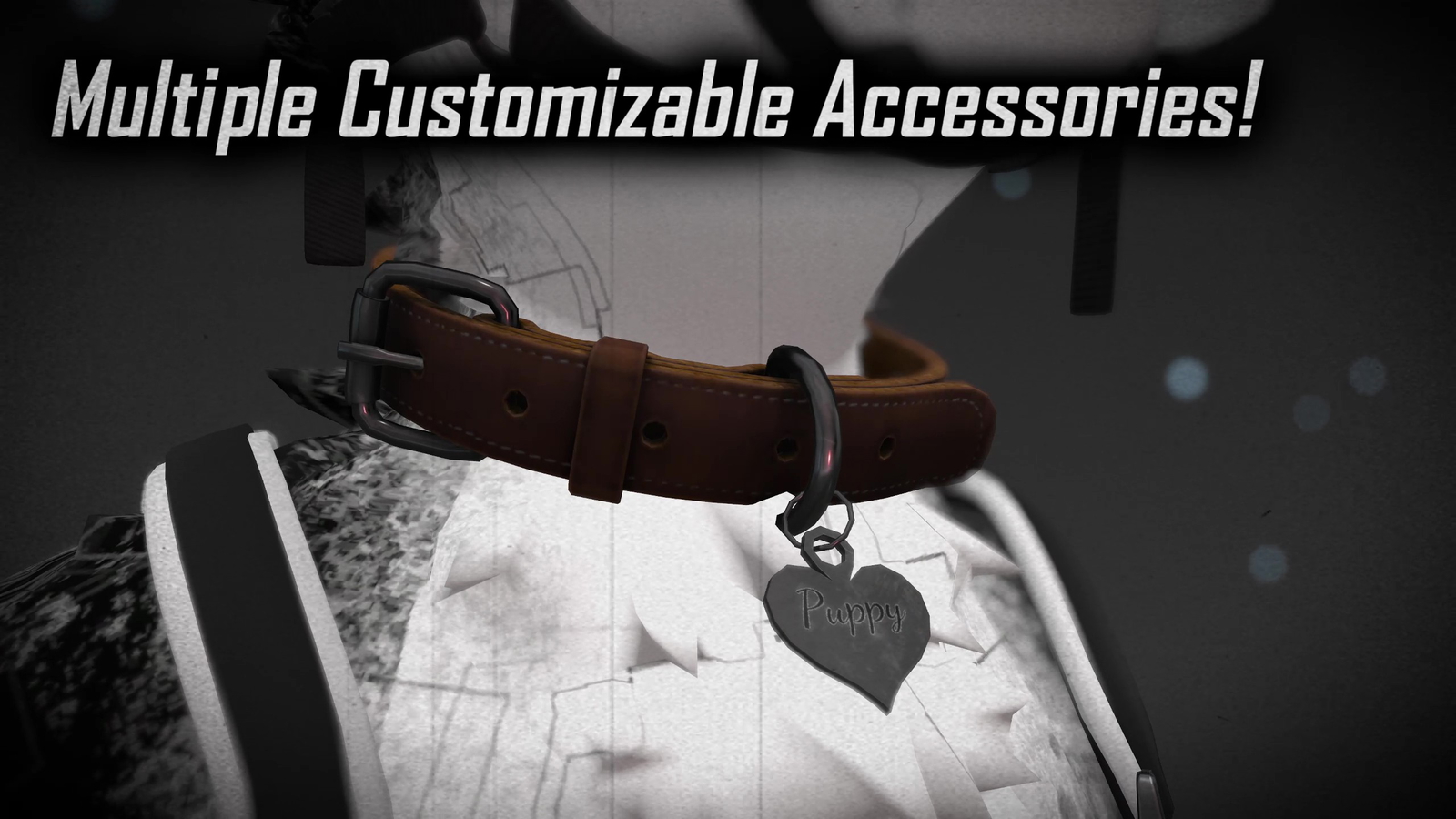 Universal Leash & Collar [JINXXY]