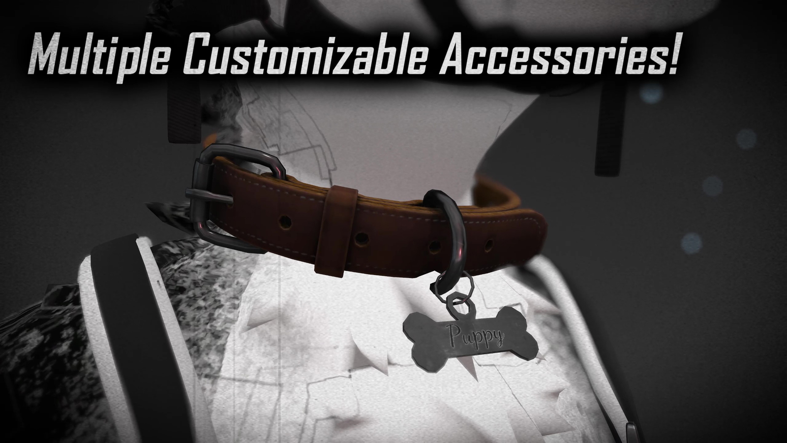 Universal Leash & Collar [JINXXY]