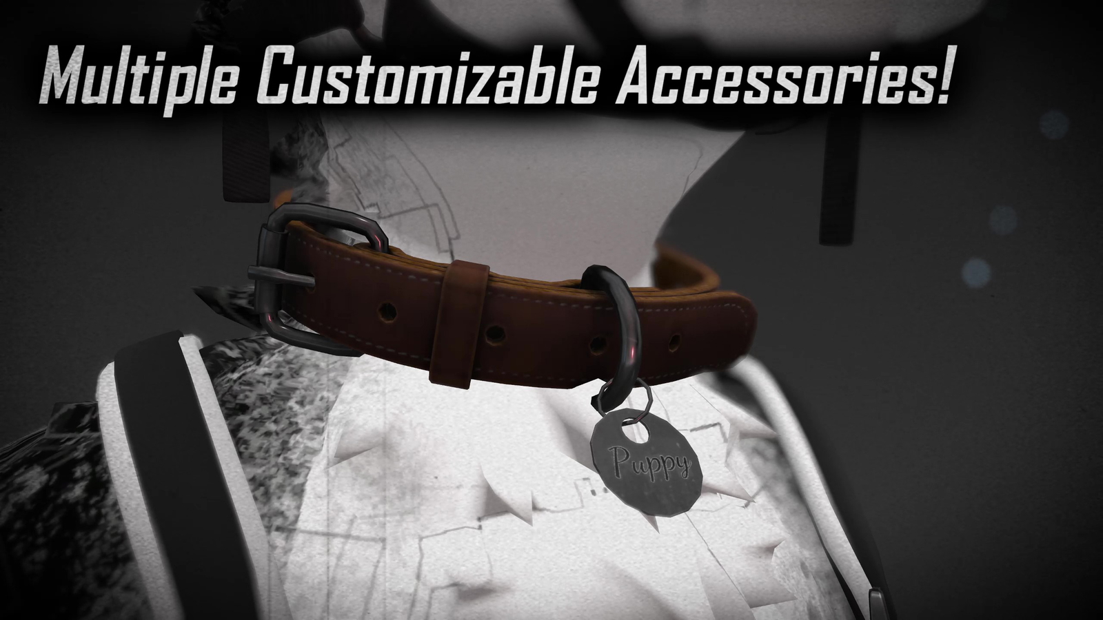 Universal Leash & Collar [JINXXY]