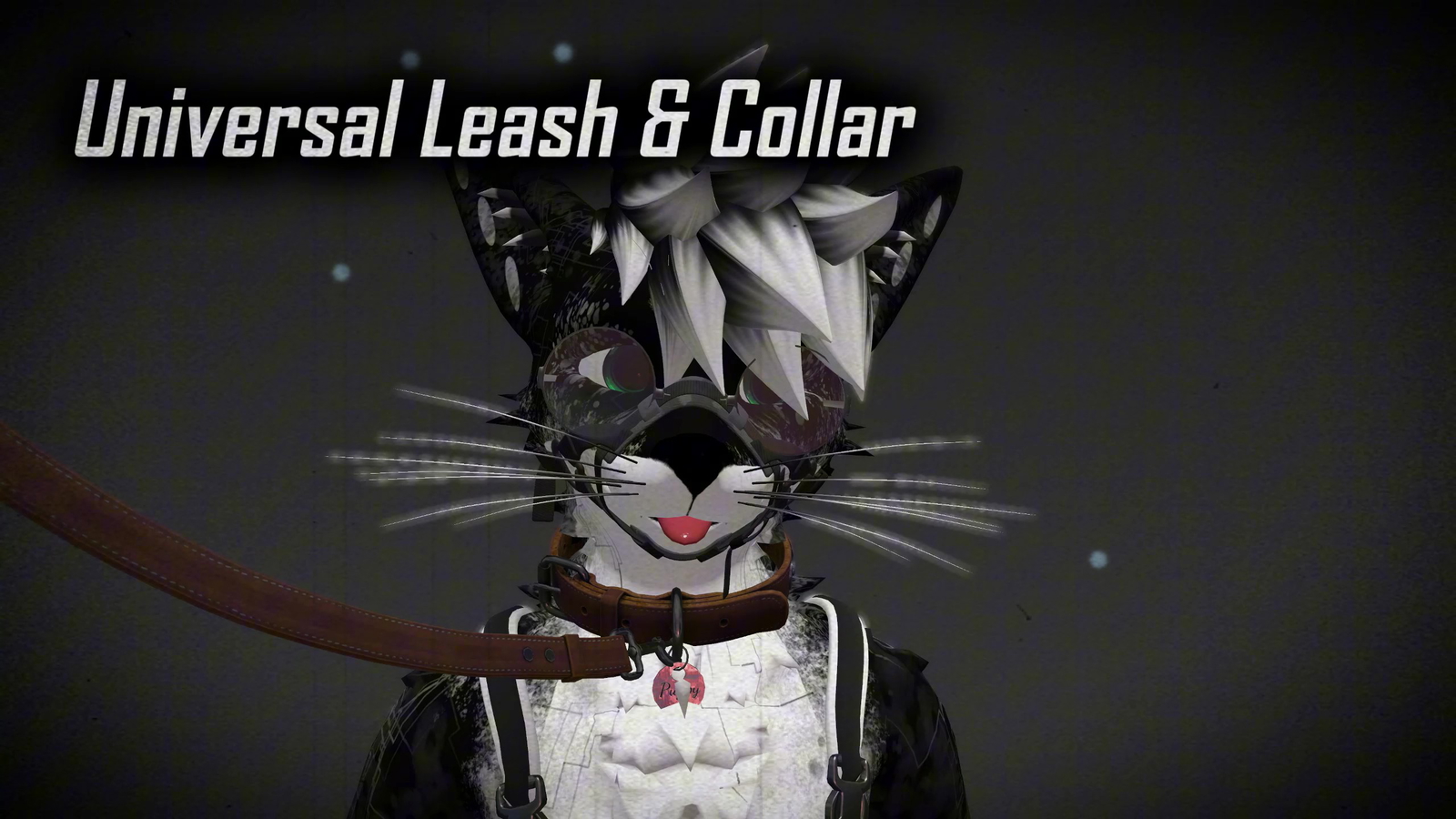 Universal Leash & Collar [JINXXY]