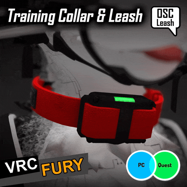 Training Collar & Leash [JINXXY]