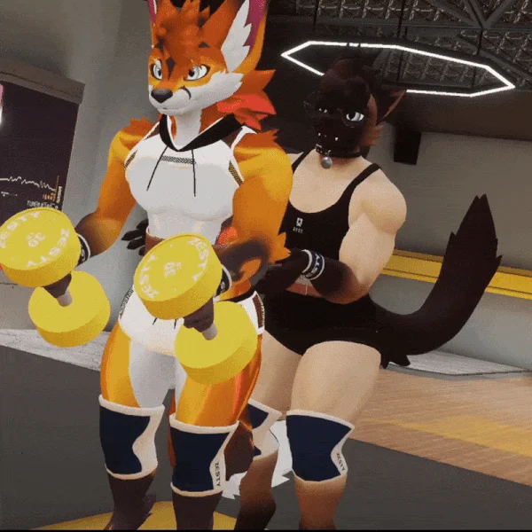 Zesty Gym Accessories