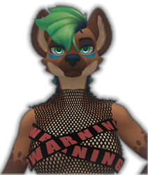 Hyenid Danger Fishnets