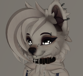 PnC Pupchi Piercings
