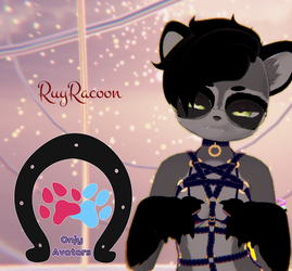 Ruy Racoon