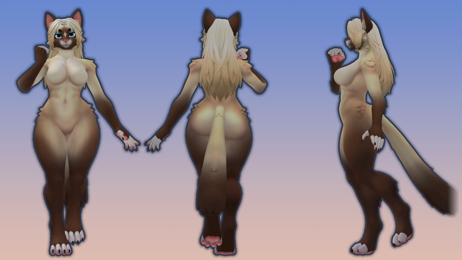 Chocolate Point Legato Texture