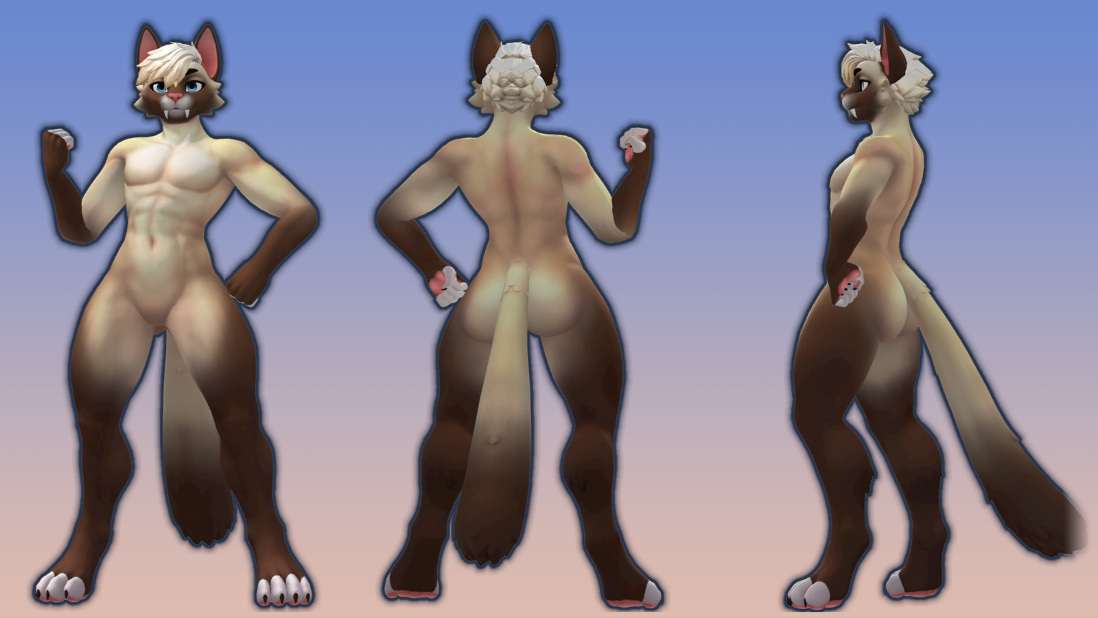 Chocolate Point Legato Texture