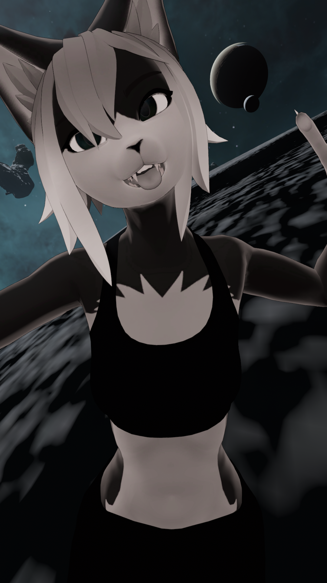 Felix the Vix Texture