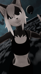 Felix the Vix Texture