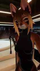 Abyssian Cat Texture for Vixine
