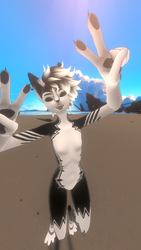 Stitches the Vixine Cat!