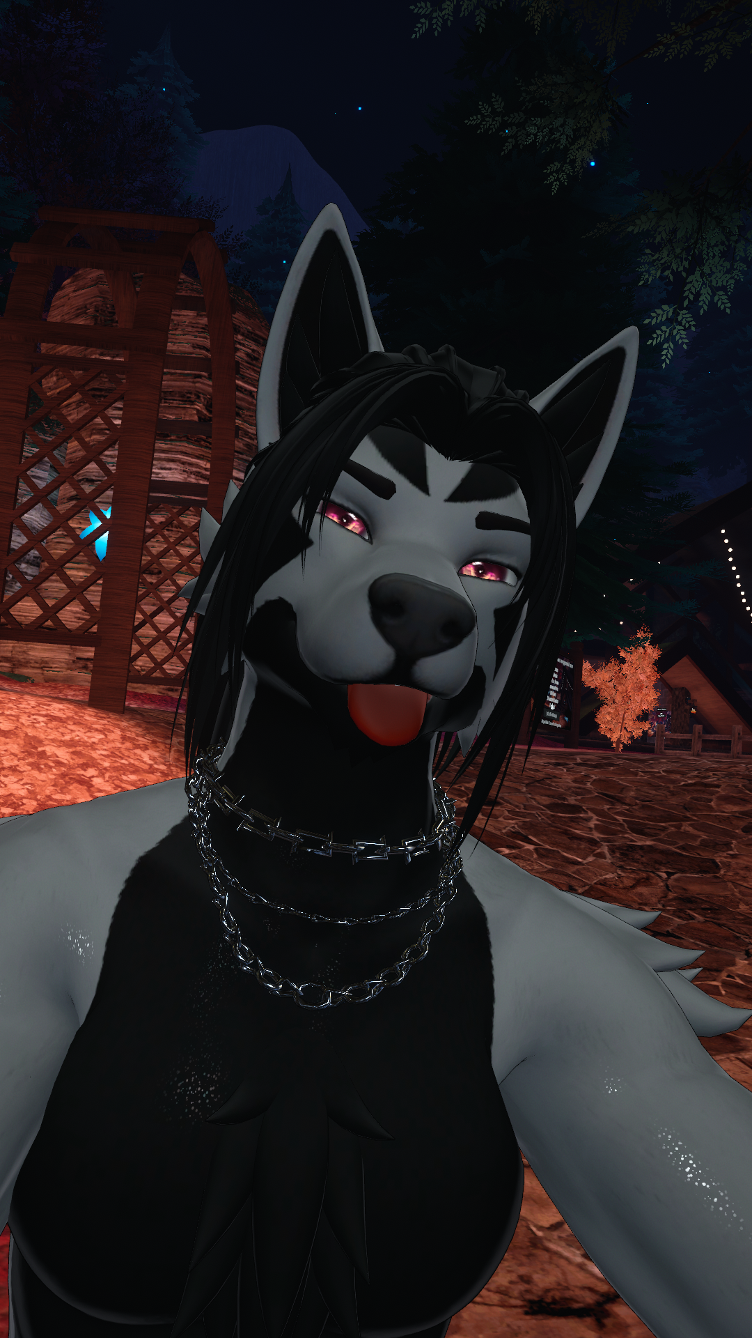 Mightyena texture for (Dante Canine/Wolf)