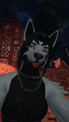 Mightyena texture for (Dante Canine/Wolf)