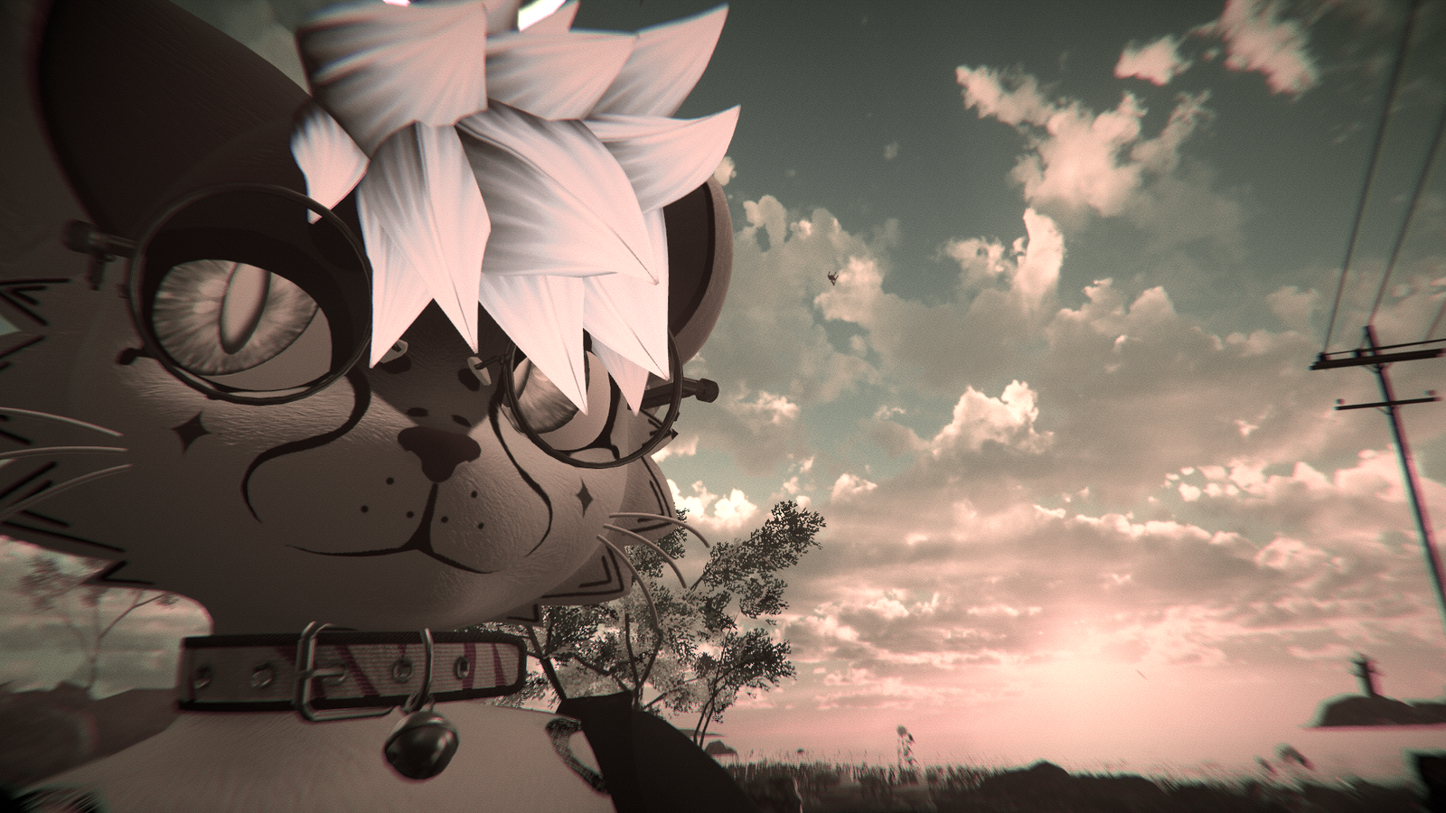 Banner Background