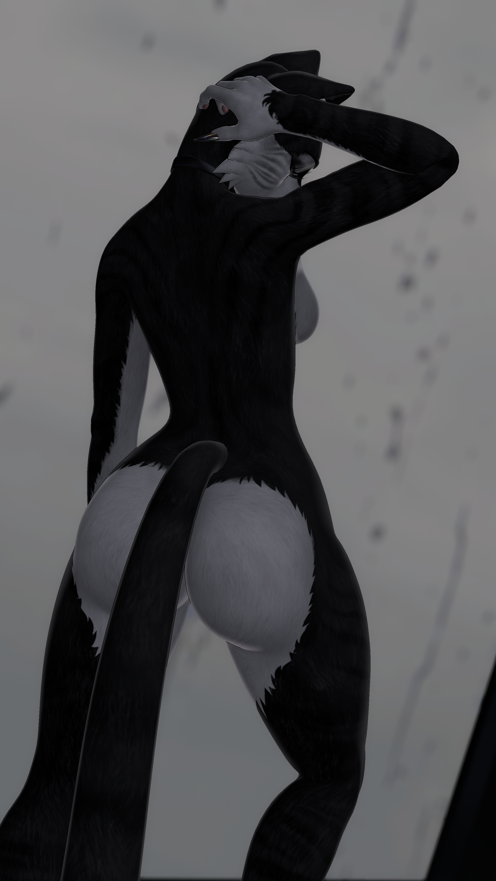Tuxedo Tabby Cat ~ Retexture for Foxipaws Cleo Avatar [Furry VRChat]