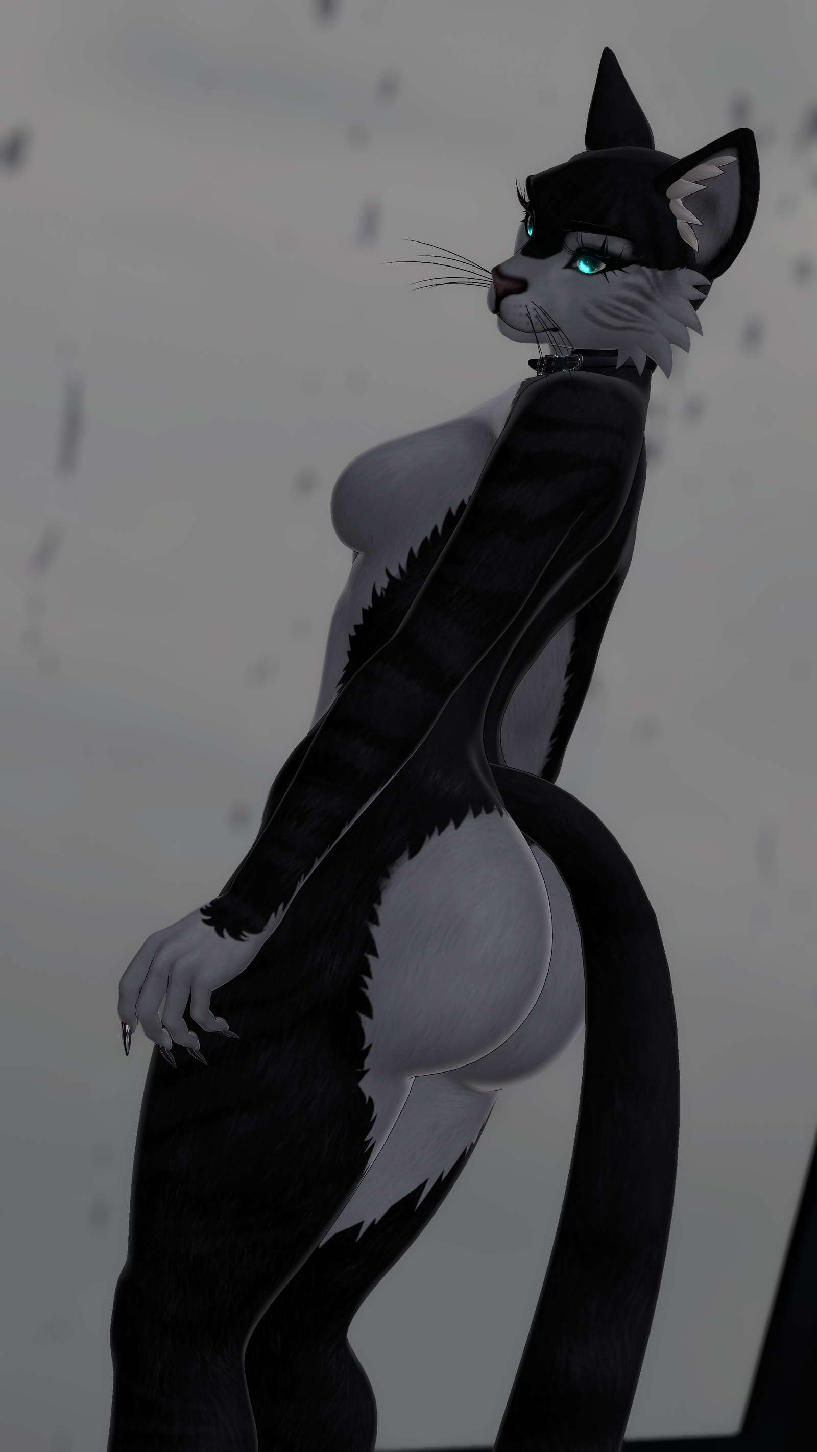 Tuxedo Tabby Cat ~ Retexture for Foxipaws Cleo Avatar [Furry VRChat]