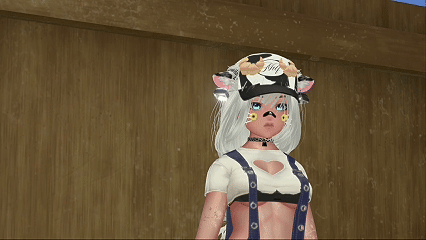 Briar PC I QUEST I GOGO I FAKE INDEX I NSFW/SPS