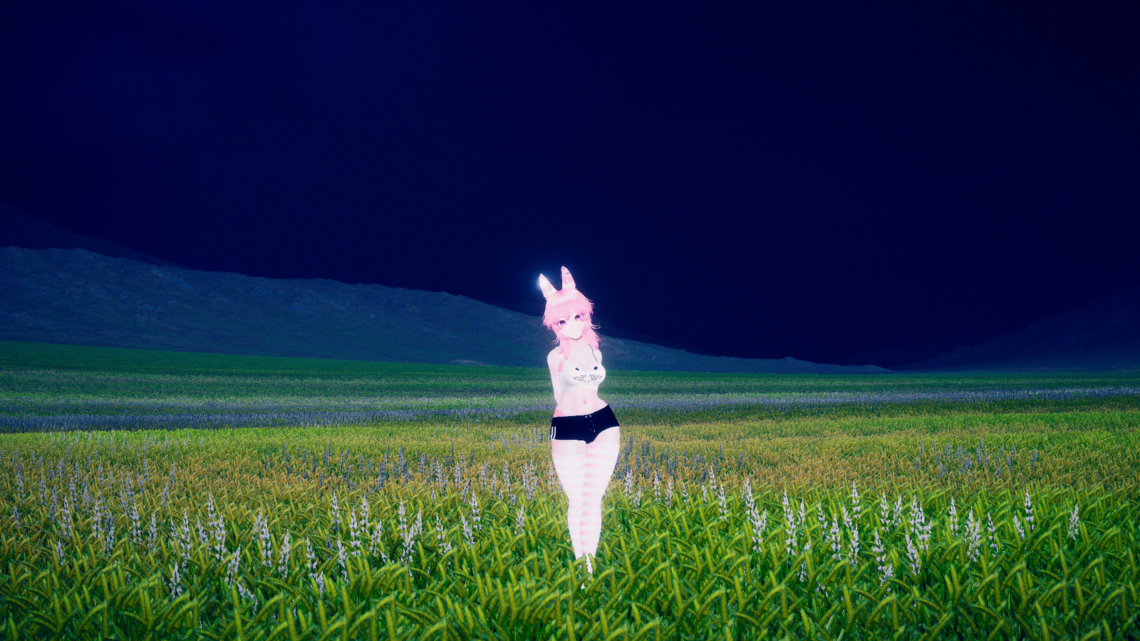 Banner Background