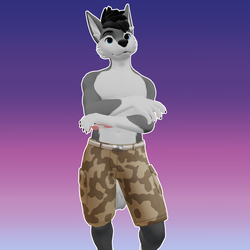 Cargo Shorts - Winterpaw Masccanine