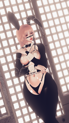 Taelyn Avatar (PC/QUEST & SPS/GOGO)