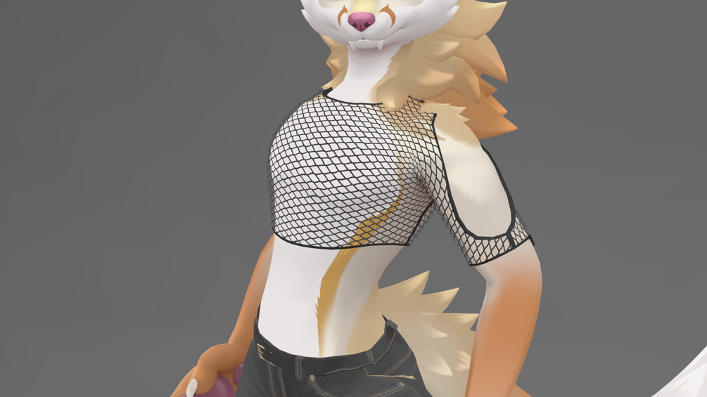 Fishnet Top for Vulper