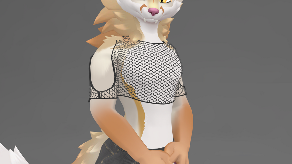 Fishnet Top for Vulper