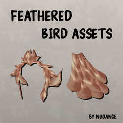 Feather Accessories
