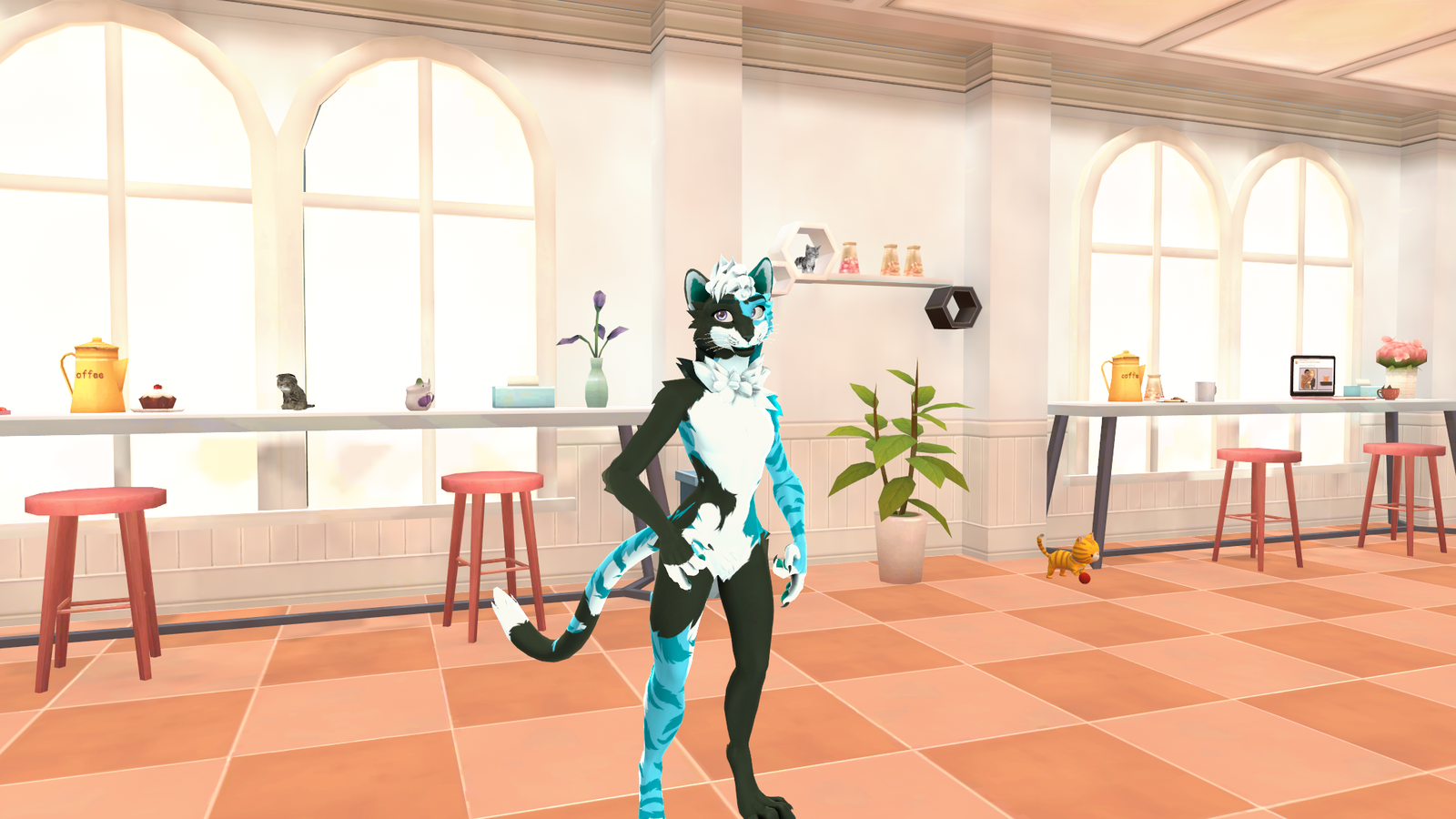 Tabaxi