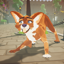 DovaDog